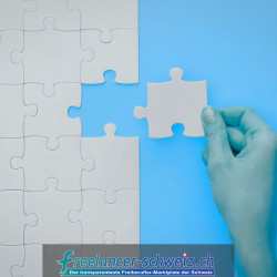 Freelancer in der Schweiz finden: Wie KMU den richtigen Experten wählen Freelancer in der Schweiz finden: Wie KMU den richtigen Experten wählen